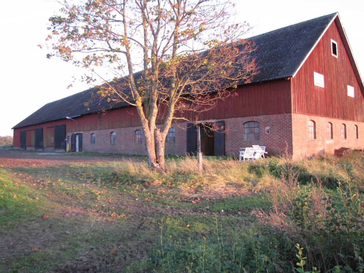 Stalemara Gard Krickan Fågelmara Esterno foto